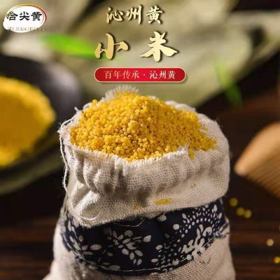 山西特产沁州黄小米5斤月子食用香糯小黄米支持一件代发厂家直销200袋