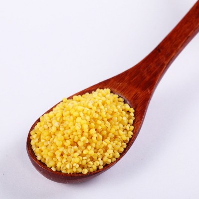 敖汉特产黄金苗小米 2021新小米 粒粒道厂家批发小黄米 一件代发2件